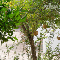 фото из отзыва ID 1925077