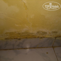 фото из отзыва ID 1925114