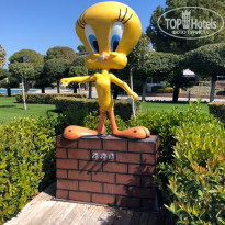 фото из отзыва ID 1925155