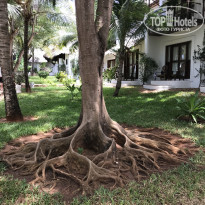 фото из отзыва ID 1925239