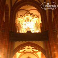 фото из отзыва ID 1923141