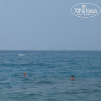 фото из отзыва ID 1925397