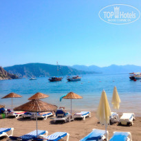 фото из отзыва ID 1925427