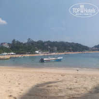 фото из отзыва ID 1925433