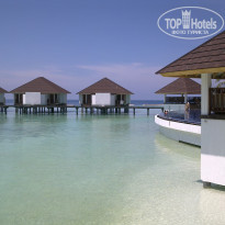 фото из отзыва ID 1925534