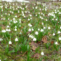 фото из отзыва ID 1923714