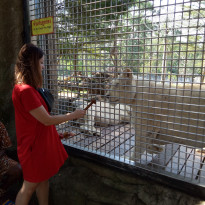 фото из отзыва ID 1925631