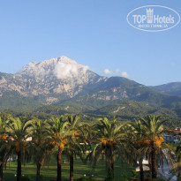 фото из отзыва ID 1925694