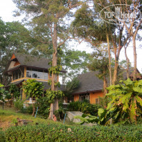 фото из отзыва ID 1925714