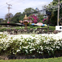 фото из отзыва ID 1925830