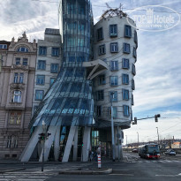 фото из отзыва ID 1925737