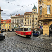 фото из отзыва ID 1925737