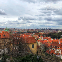 фото из отзыва ID 1925737