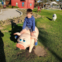 фото из отзыва ID 1925986