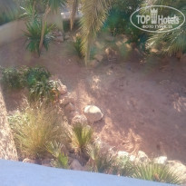 фото из отзыва ID 1926024