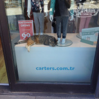 фото из отзыва ID 1925618