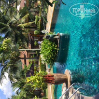 фото из отзыва ID 1926147