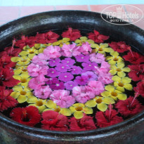 фото из отзыва ID 1926163