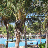 фото из отзыва ID 1926163