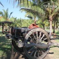 фото из отзыва ID 1926163