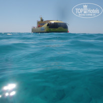 фото из отзыва ID 1926139