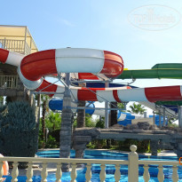 фото из отзыва ID 1926141