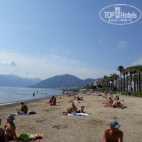 фото из отзыва ID 1923767