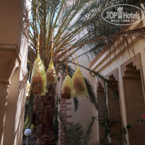 фото из отзыва ID 1926213