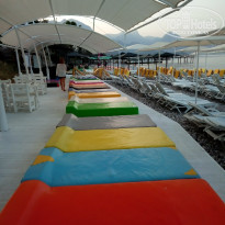 фото из отзыва ID 1925665