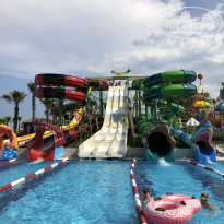 фото из отзыва ID 1926270