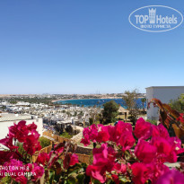 фото из отзыва ID 1926289