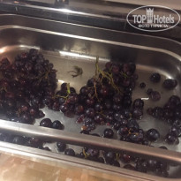 фото из отзыва ID 1926373