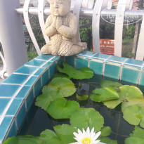 фото из отзыва ID 1926447