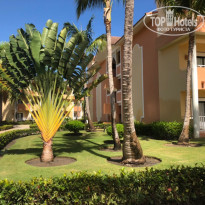 фото из отзыва ID 1926463