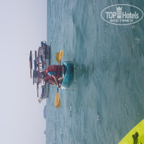 фото из отзыва ID 1926461