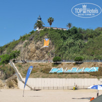 фото из отзыва ID 1926198