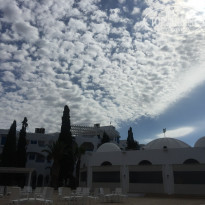 фото из отзыва ID 1922777