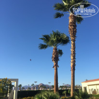 фото из отзыва ID 1926578