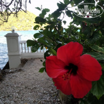 фото из отзыва ID 1926637