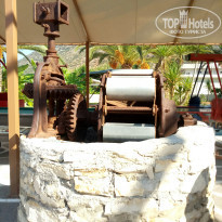 фото из отзыва ID 1924484