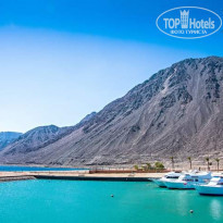 фото из отзыва ID 1926565