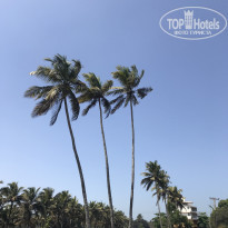 фото из отзыва ID 1926663