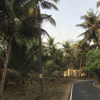 фото из отзыва ID 1926663