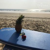 фото из отзыва ID 1926663