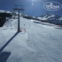 фото из отзыва ID 1926690