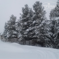 фото из отзыва ID 1926690