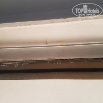 фото из отзыва ID 1926726