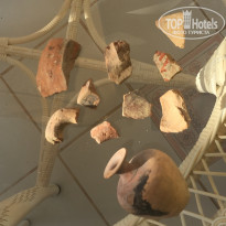 фото из отзыва ID 1926724