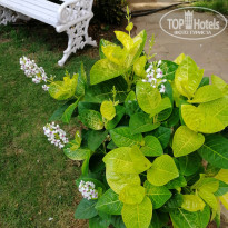 фото из отзыва ID 1926768