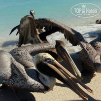 фото из отзыва ID 1926820